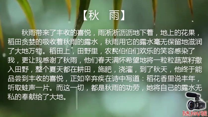 [图]感受秋雨落叶，聆听动听优美音乐，褪去一天的疲惫带你入眠