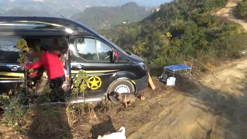 [图]山中野人生活继续，经历了漆黑的山中黑夜，黎明的到来雾气漫山