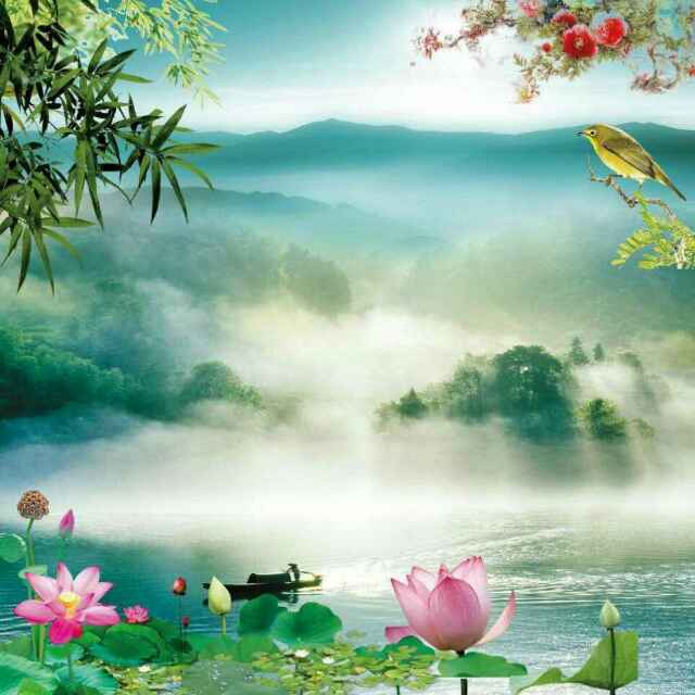 奇妙海燕an头像