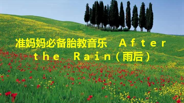 [图]准妈妈必备胎教音乐 Afterthe Rain（雨后）