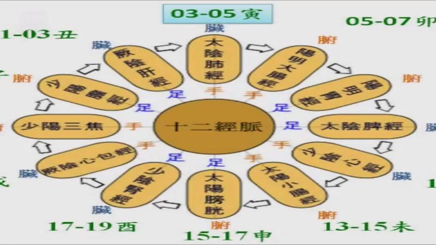 [图]除了任督二脉，奇经八脉中还有六脉，儿童十二经脉你了解吗？