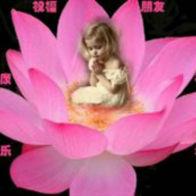 祈祷251179439头像