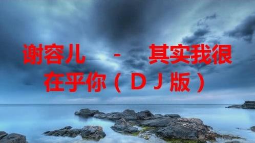 [图]「D_J」谢容儿-其实我很在乎你(DJ版）