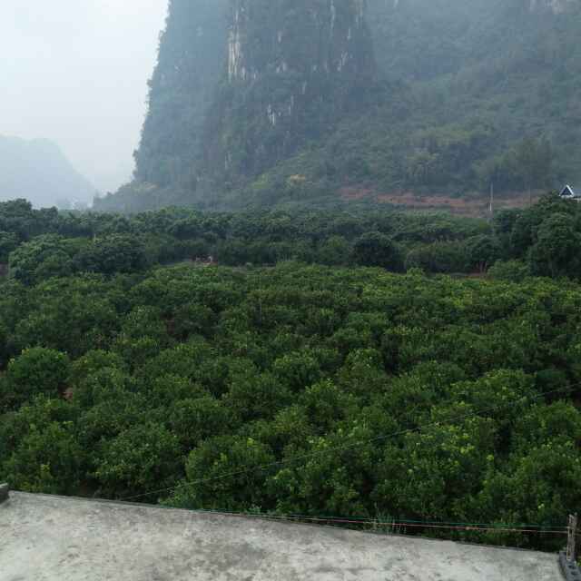 下载app无障碍搜索梦回唐朝电视剧全集学霸王小九视频熊出没重返地球