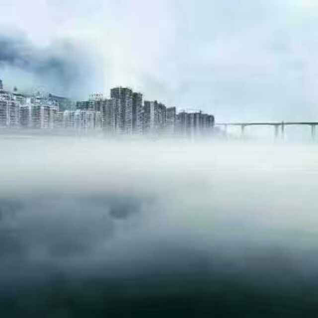 海燕头像