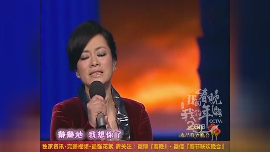 [图]2009年春晚，毛阿敏演唱《天之大》，优美歌声，一起来欣赏