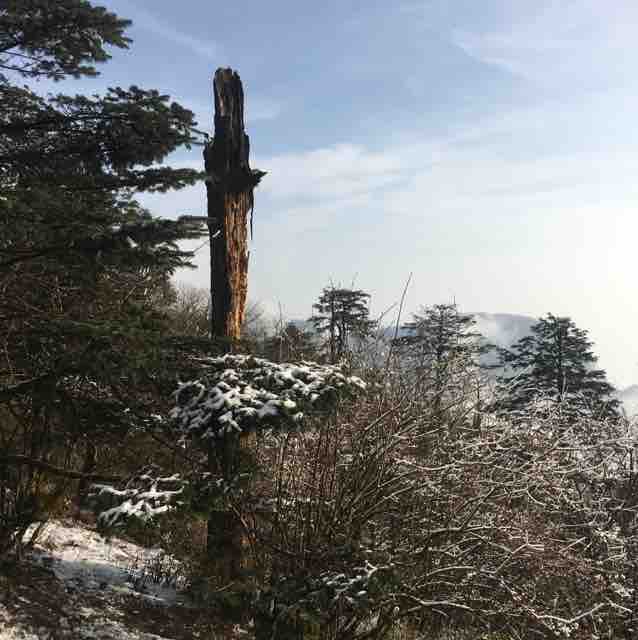 六哥171287275头像