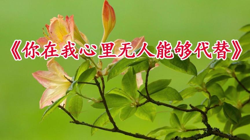 [图]暴林新歌《你在我心里无人能够代替》你永远是我的最爱