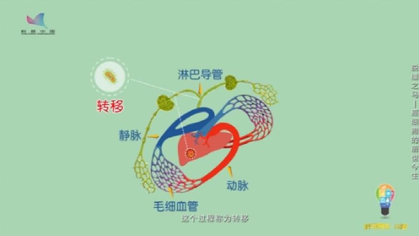 [图]脱缰之马——癌细胞的前世今生