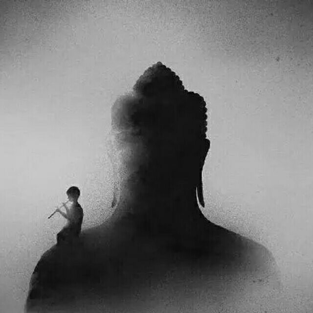 龍騰黑马头像