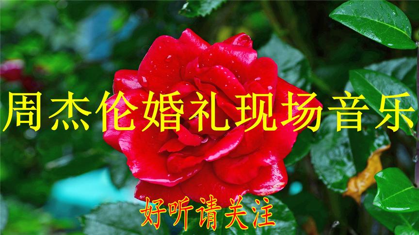 [图]华语群星-周杰伦婚礼现场音乐.mp3