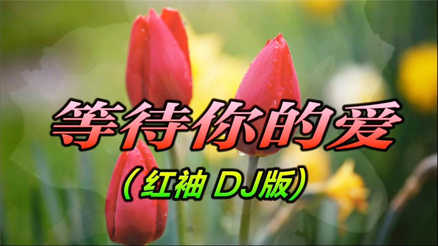 [图]红袖一首（DJ）歌曲《等待你的爱》好听极了，送给最爱的你！