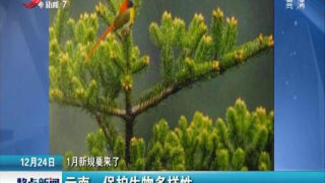 [图]「1月新规要来了」云南：保护生物多样性