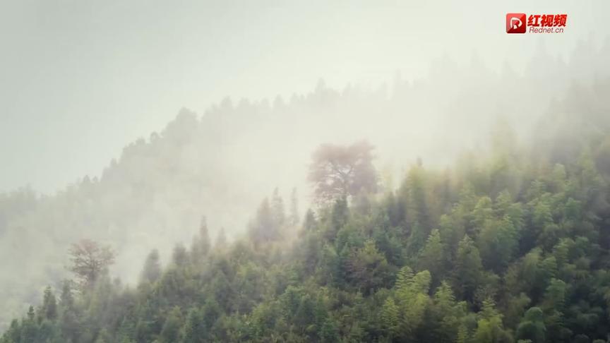 [图]《红色印记》开篇《开国领袖的家国情怀》，带你一起走进韶山！