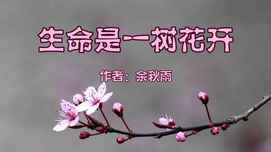 [图]余秋雨散文《生命是一树花开》心中若有桃花源，何处不是水云间？