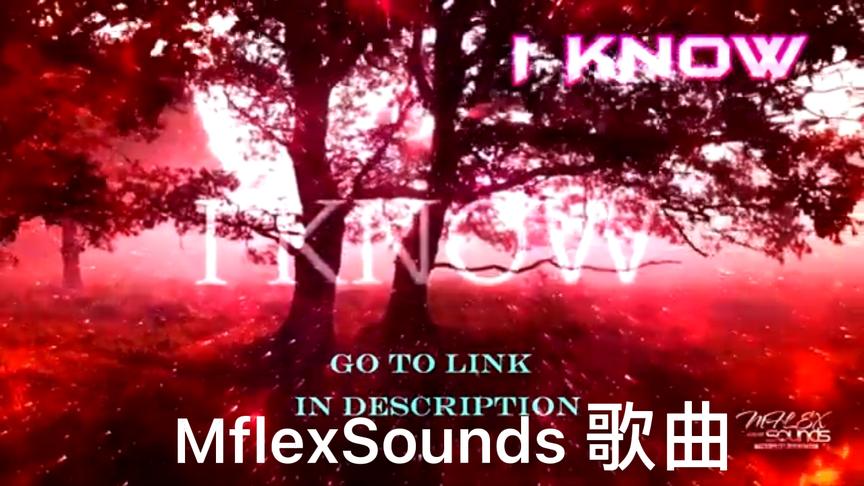 [图]MflexSounds - 歌曲