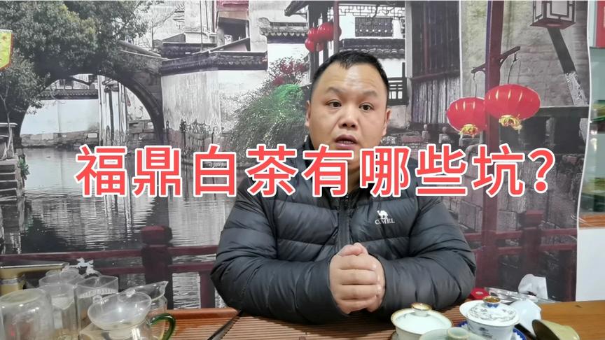 [图]福鼎白茶越来越混乱，咱们来聊聊到底存在哪些问题需要注意呢？