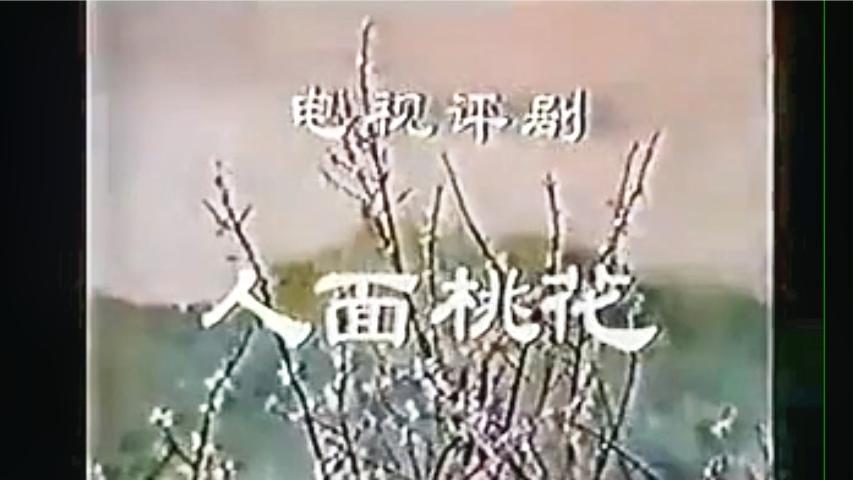 [图]评剧《人面桃花 》电影版