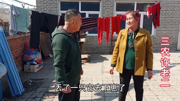 三农许老二