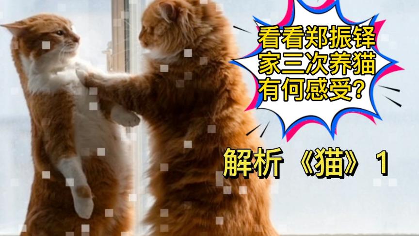 [图]看看郑振铎家三次养猫有何感受？解析《猫》1