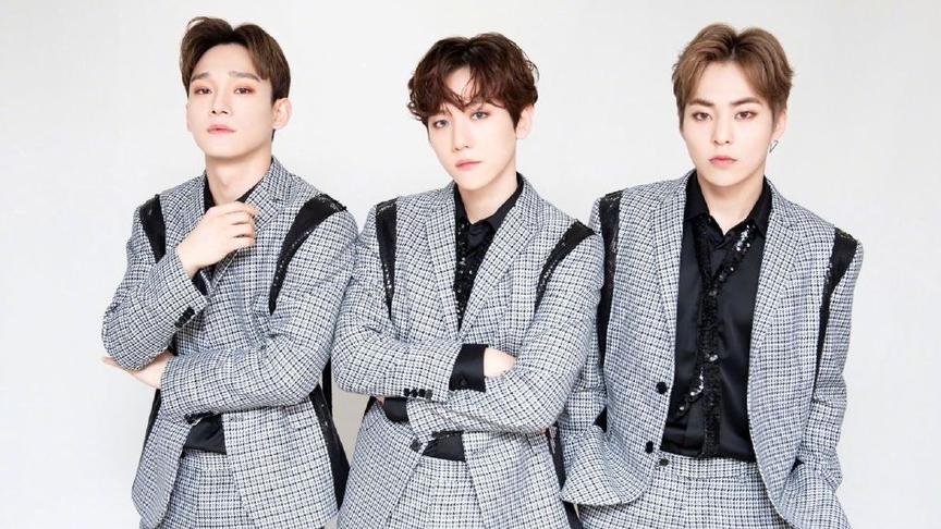 Sm家族看exo的演唱会 西瓜视频搜索