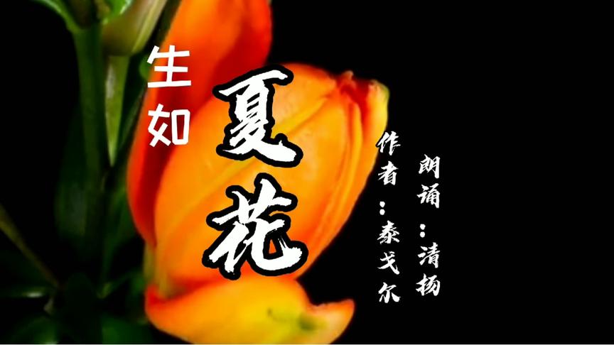 [图]泰戈尔《生如夏花》：生如夏花之绚烂，死如秋叶之静美，美哉!