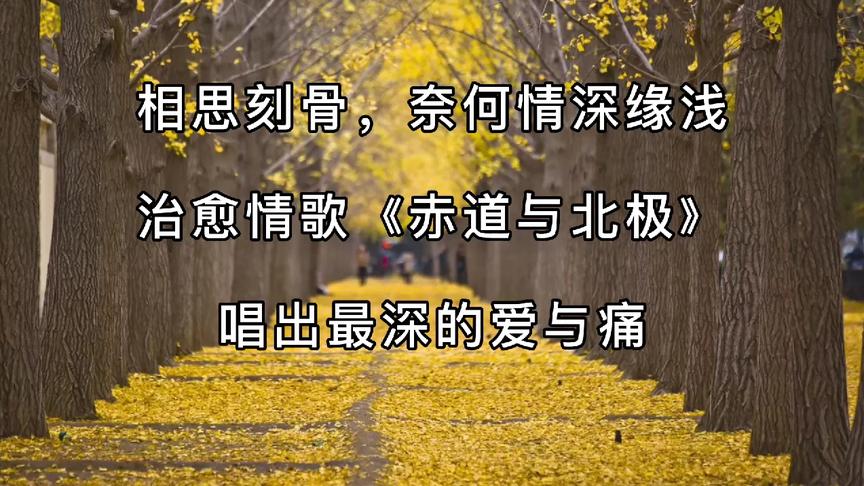 [图]向来缘浅，奈何情深，治愈情歌《赤道与北极》唱出最深的爱与痛