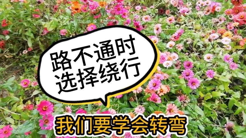 [图]当人生的路不通时，一定要学会拐弯，那你将会成为人生的赢家！