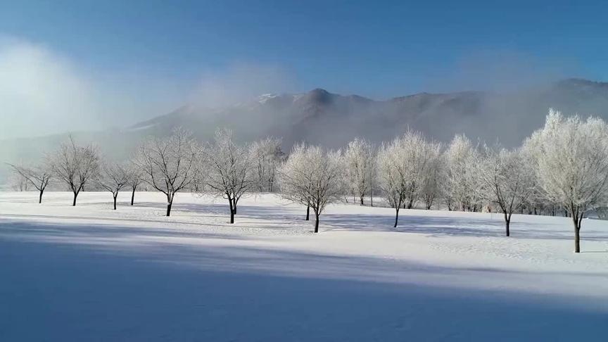 [图]散文《雪落的声音》