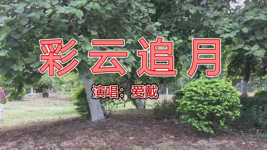 [图]爱戴：首唱家乡粤语民歌《彩云追月》，旋律让你朗朗上口