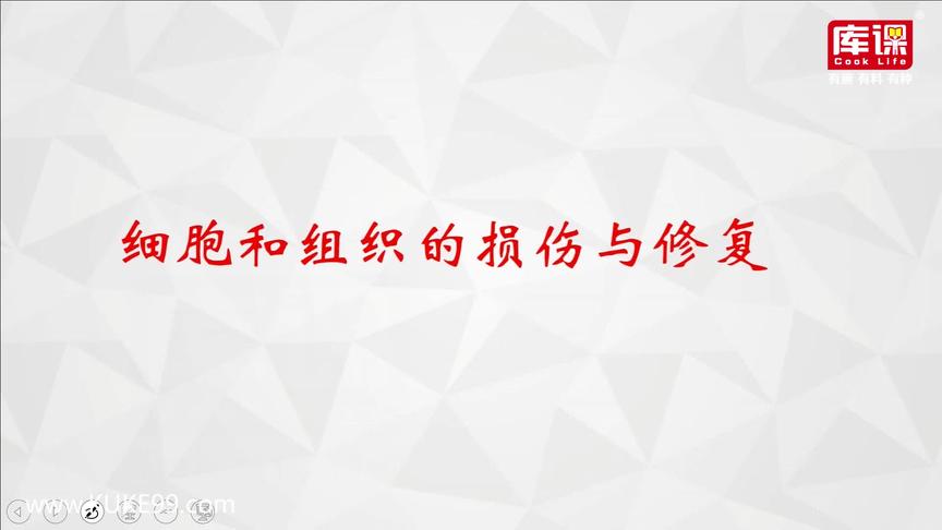 [图]2020专升本-河南-病理学-冲刺-第02章 细胞和组织的损伤与修复01