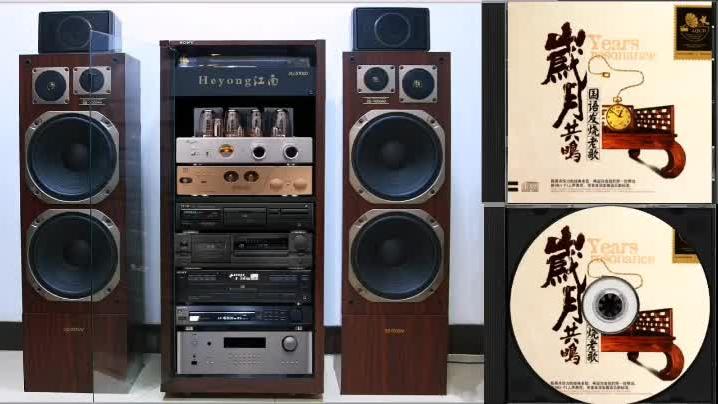 [图]极致HIFI特色珍藏｜国语发烧•与岁月共鸣的经典老歌 CD1》