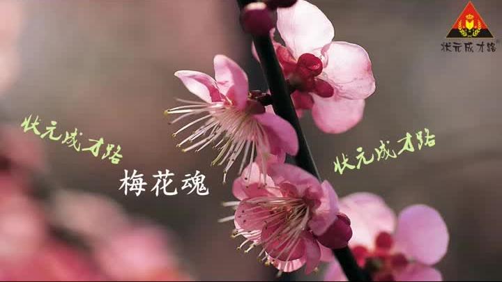 [图]4 梅花魂（朗读）