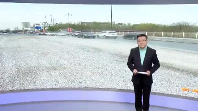 [图]我们的道路“美不美”