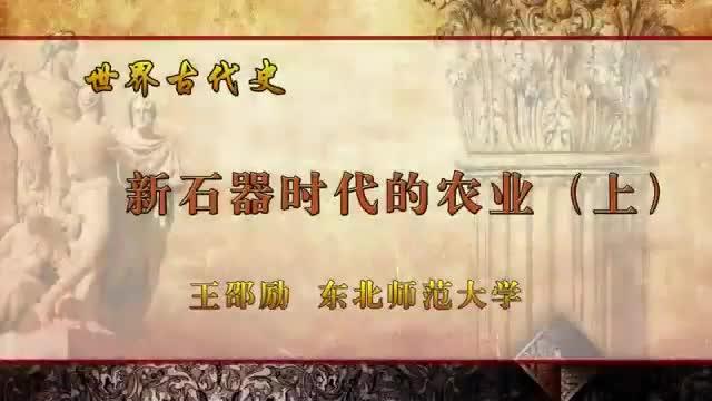 [图]【世界通史合集】--新石器时代的农业（王邵励）1