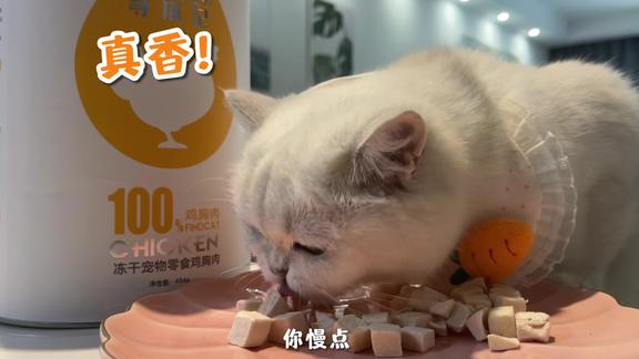 刘涛同学和晚晚