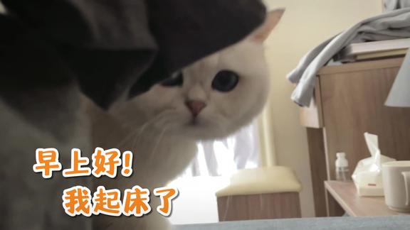 刘涛同学和晚晚