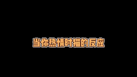 刘涛同学和晚晚