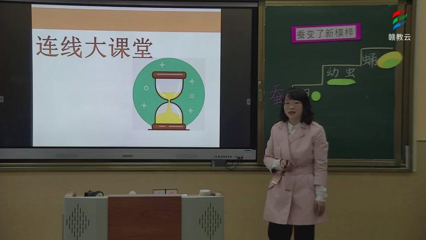 [图]三年级科学(教科版)《蚕变了新模样》