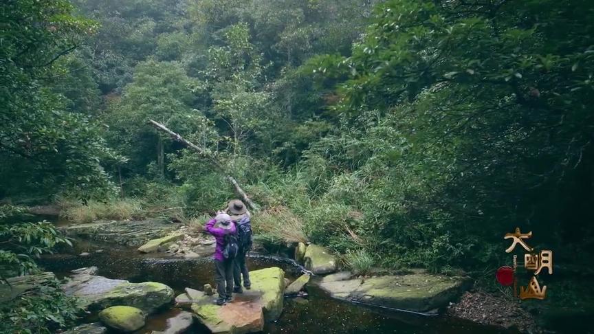 [图]走街串巷看广西：四集纪录片《大明山》第二集《众生》