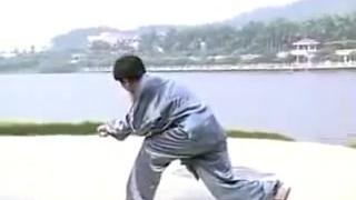 [图]太极梅花螳螂拳 第一路 (张振远)