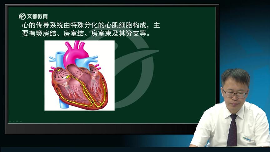 [图]【放射中级3】放射医学技术-主管技师-基础知识第一章至第二章