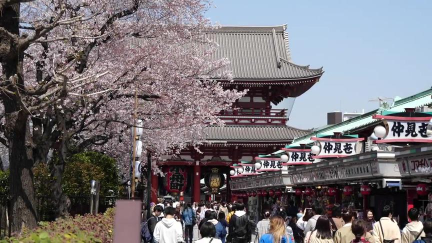 [图]2020东京盛开的樱花赏花风景8处-浅草上野公园新宿御苑等