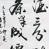 山人自有道理头像