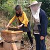 蜜蜂养殖蜂农小妹蜜糖头像