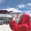 野百合趣旅行头像