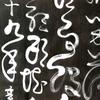 天地梦蝶头像