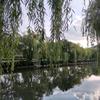 木子的冬瓜头像