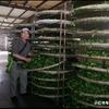 台灣烏龍茶~茶農头像