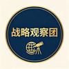 战略观察团头像